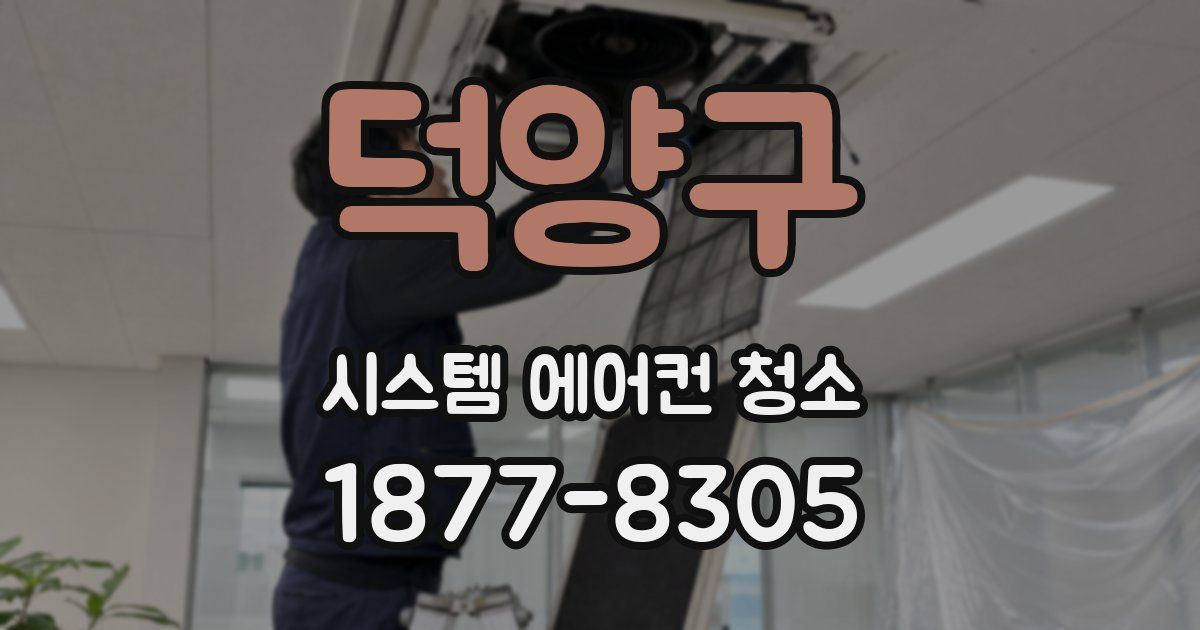 덕양구 시스템 에어컨 청소