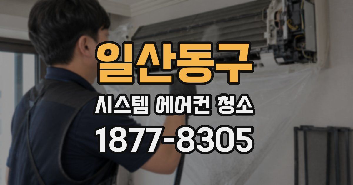 일산동구 시스템 에어컨 청소