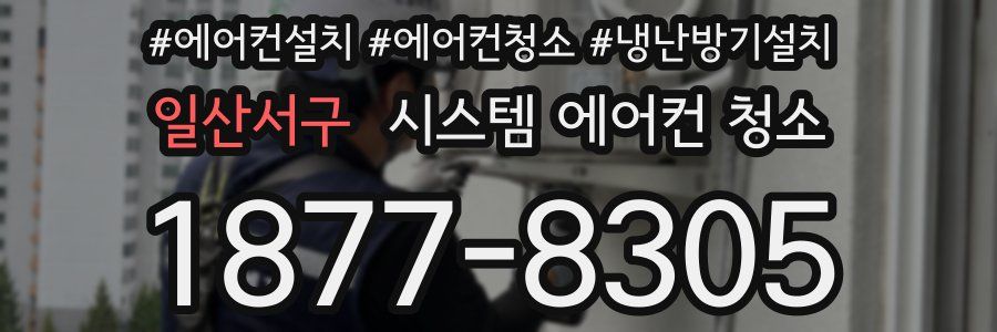 일산서구 시스템 에어컨 청소