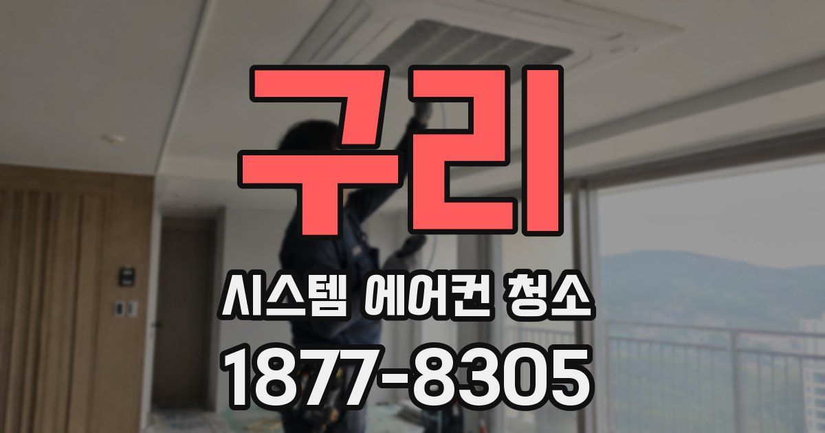 구리 시스템 에어컨 청소