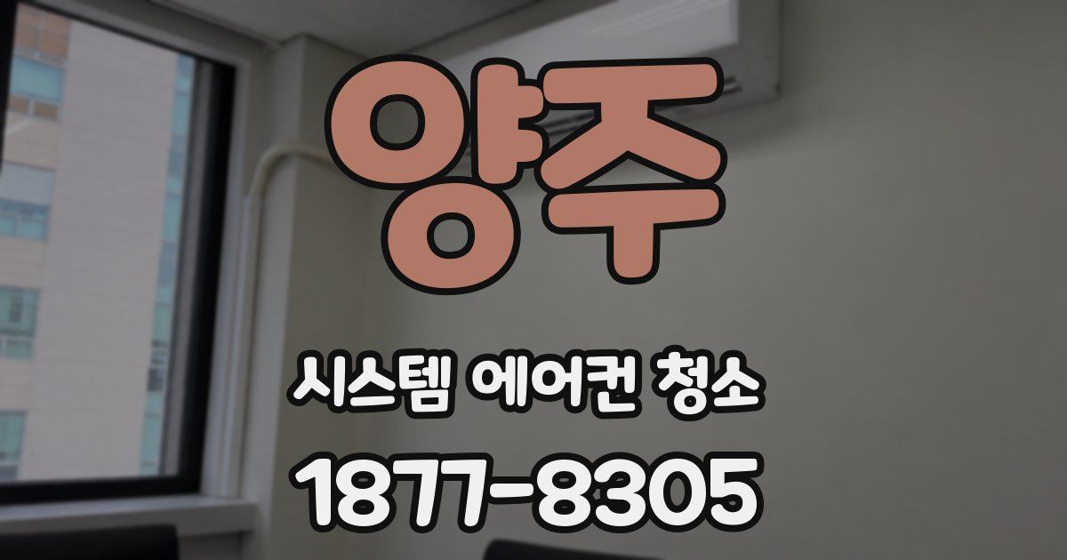 양주 시스템 에어컨 청소