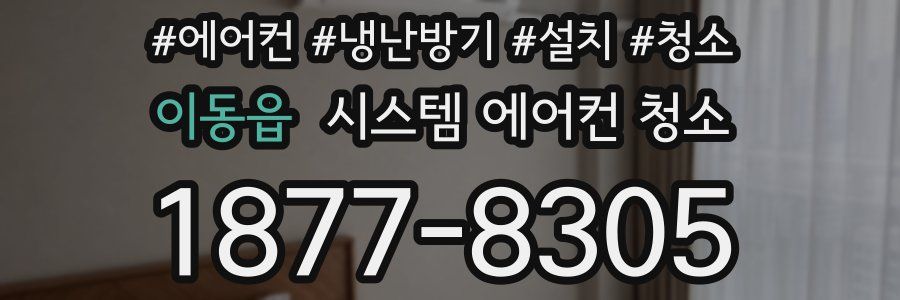 이동읍 시스템 에어컨 청소
