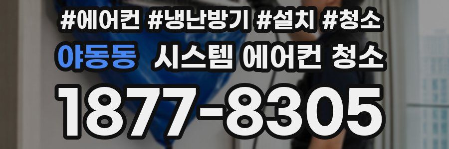 야동동 시스템 에어컨 청소