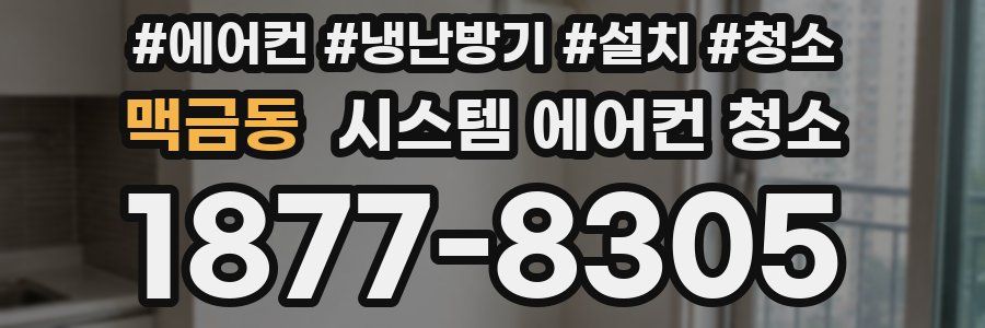 맥금동 시스템 에어컨 청소