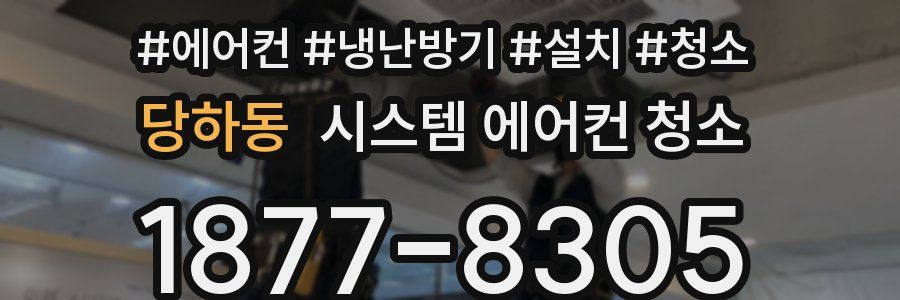 당하동 시스템 에어컨 청소