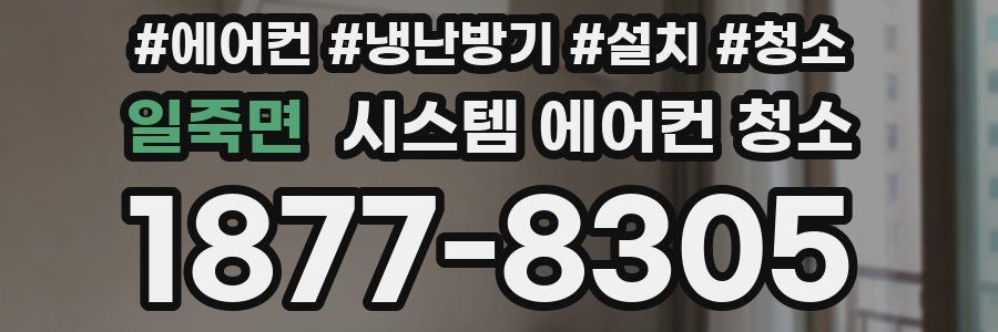 일죽면 시스템 에어컨 청소
