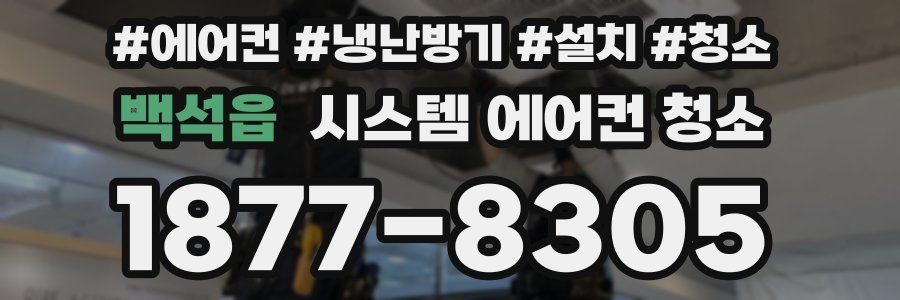 백석읍 시스템 에어컨 청소