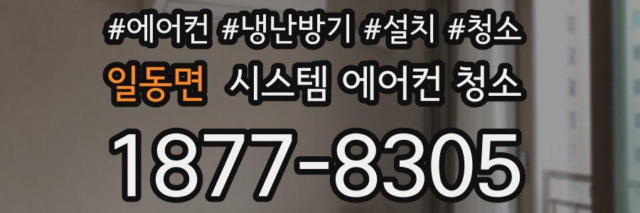 일동면 시스템 에어컨 청소