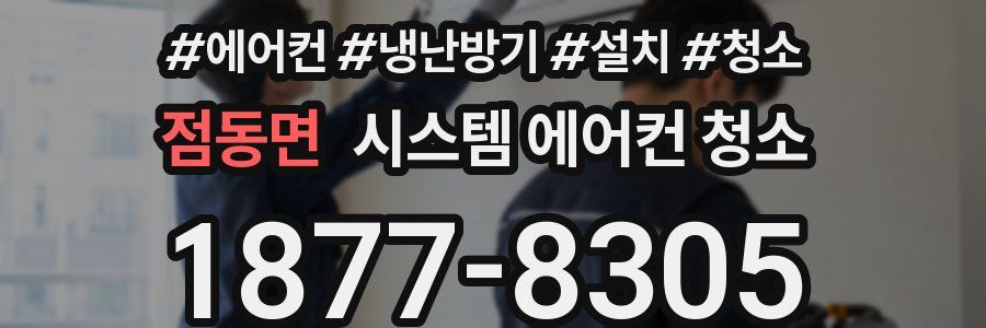 점동면 시스템 에어컨 청소