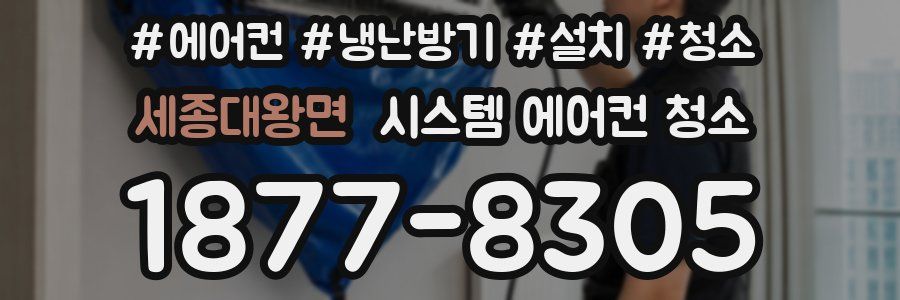 세종대왕면 시스템 에어컨 청소