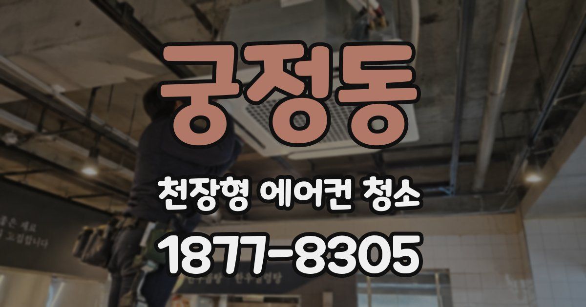 궁정동 천장형 에어컨 청소