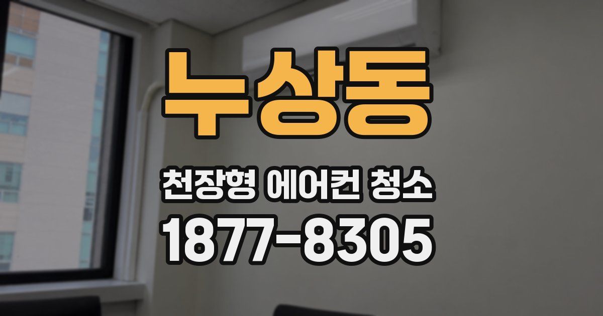 누상동 천장형 에어컨 청소