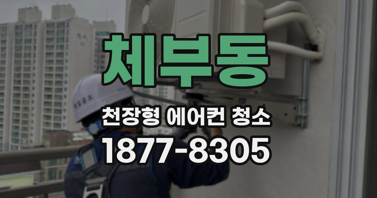 체부동 천장형 에어컨 청소