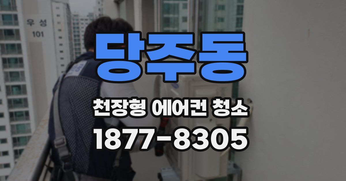 당주동 천장형 에어컨 청소