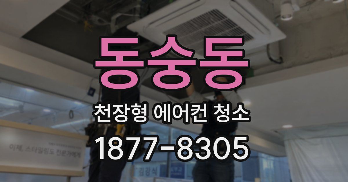 동숭동 천장형 에어컨 청소
