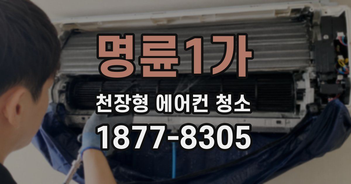 명륜1가 천장형 에어컨 청소