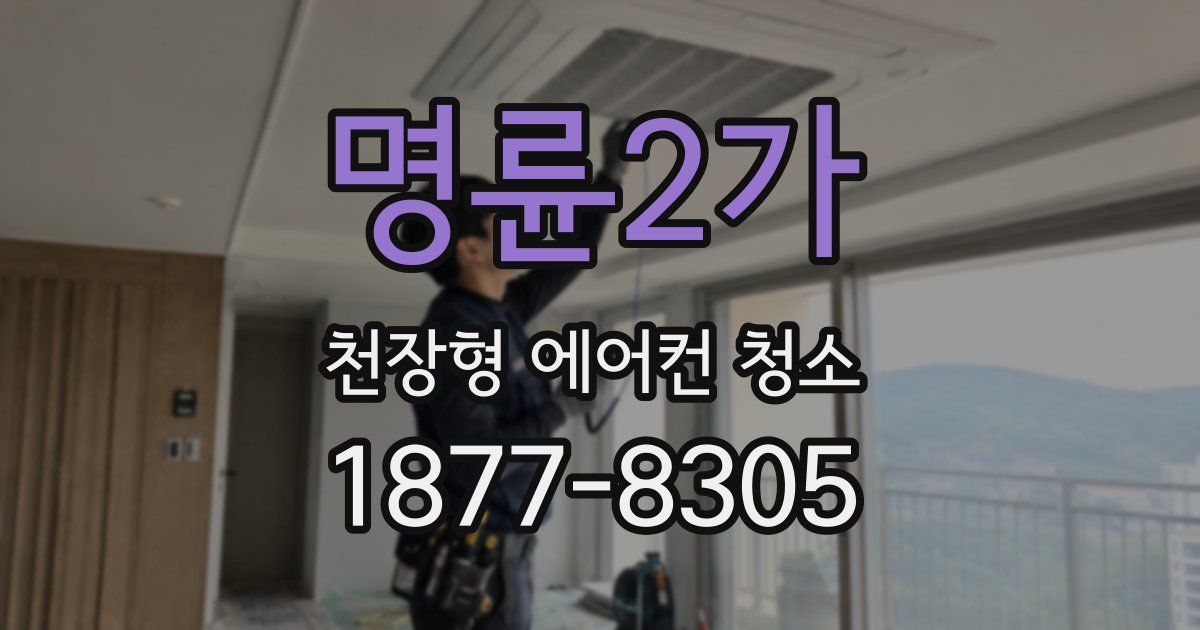 명륜2가 천장형 에어컨 청소