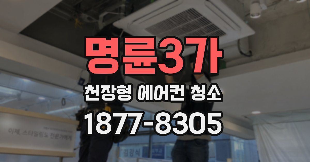 명륜3가 천장형 에어컨 청소