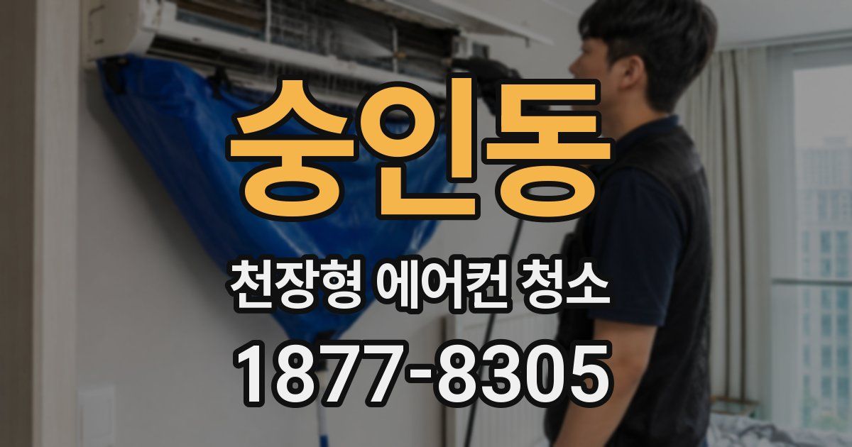 숭인동 천장형 에어컨 청소