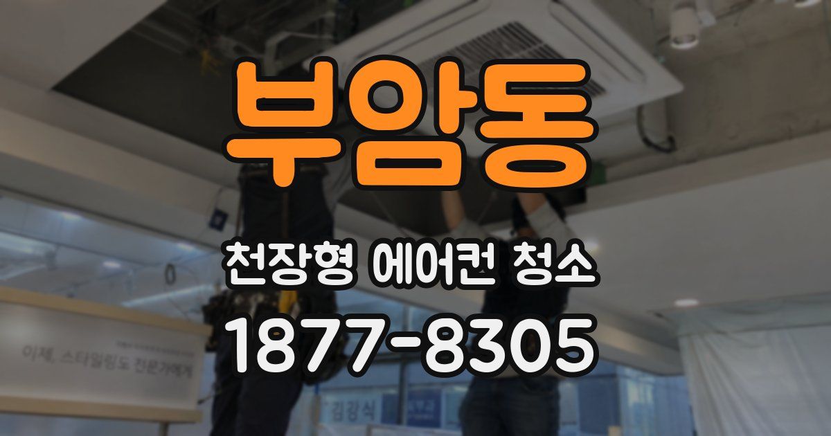 부암동 천장형 에어컨 청소