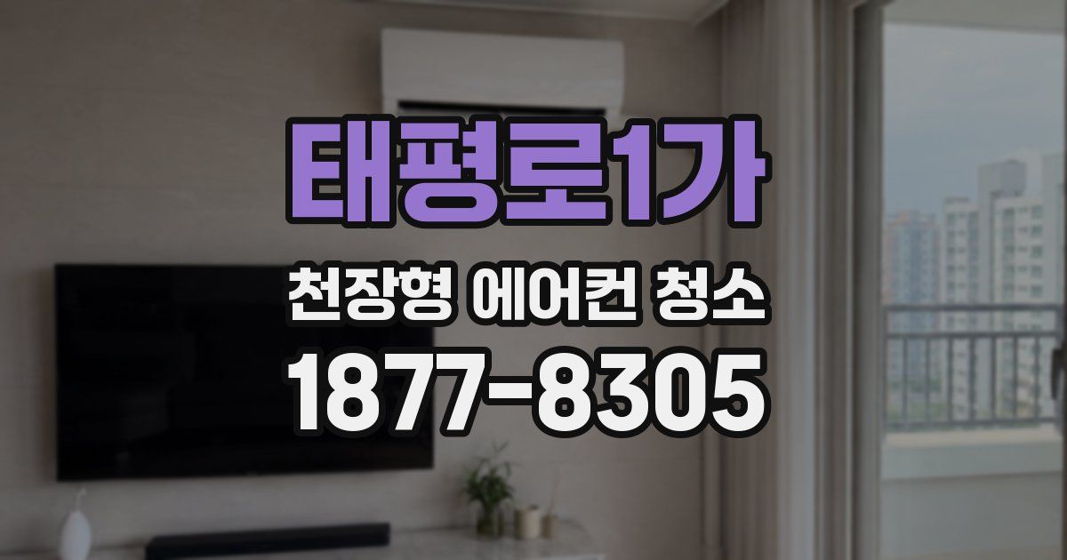 태평로1가 천장형 에어컨 청소