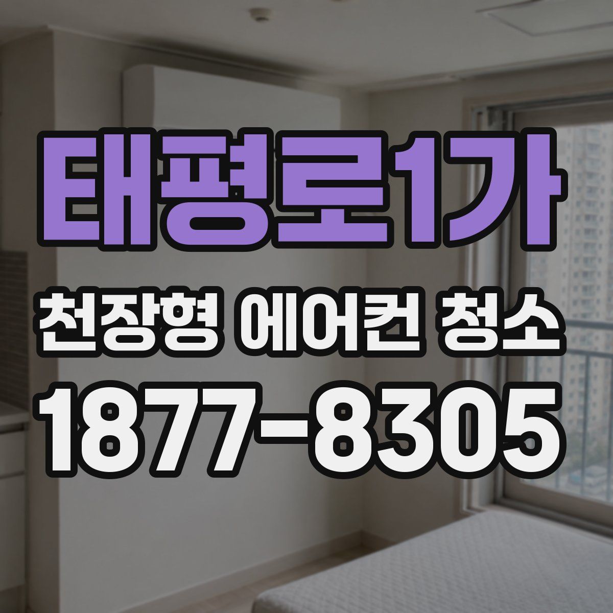 태평로1가 천장형 에어컨 청소