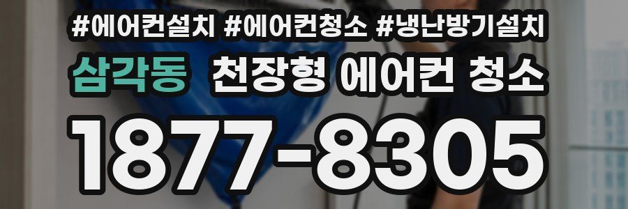 삼각동 천장형 에어컨 청소