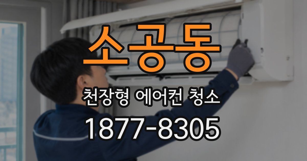 소공동 천장형 에어컨 청소