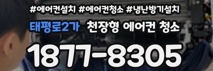태평로2가 천장형 에어컨 청소