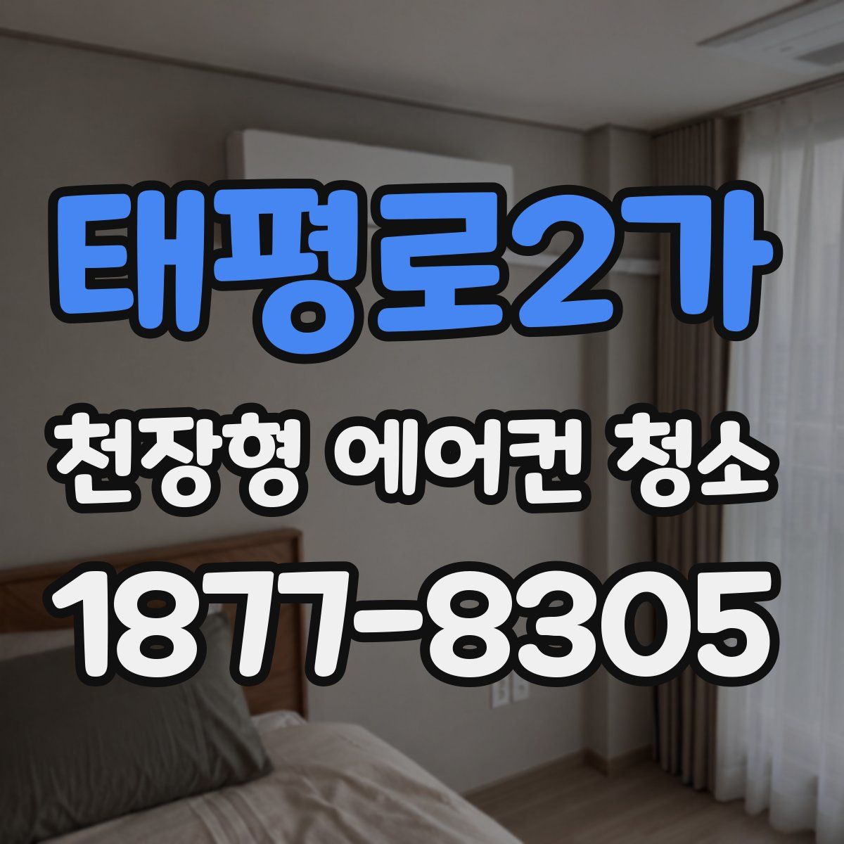 태평로2가 천장형 에어컨 청소
