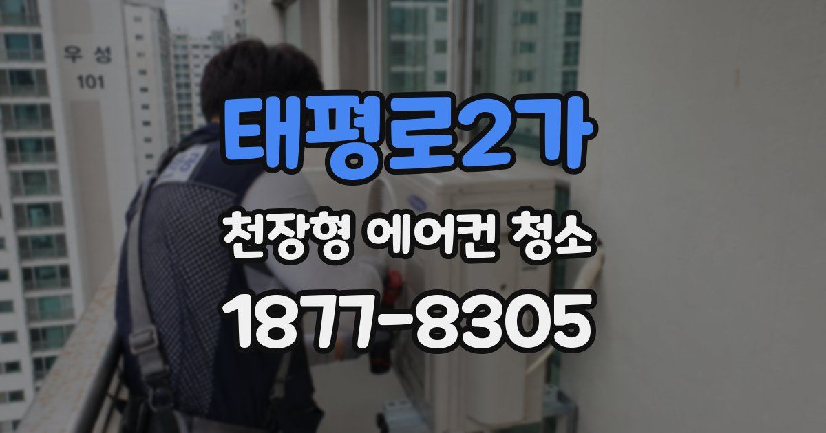 태평로2가 천장형 에어컨 청소
