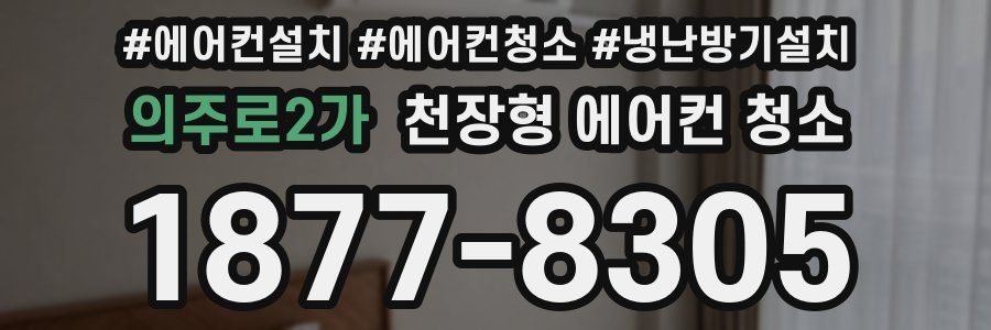 의주로2가 천장형 에어컨 청소