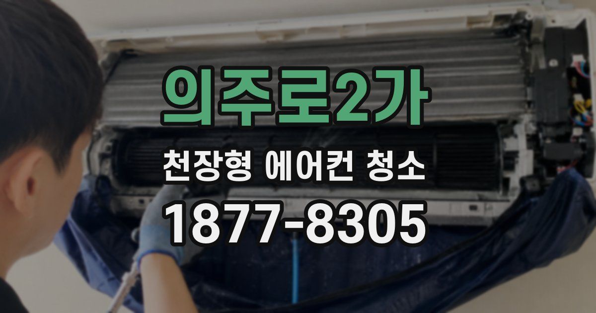 의주로2가 천장형 에어컨 청소
