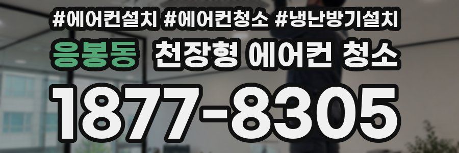 응봉동 천장형 에어컨 청소