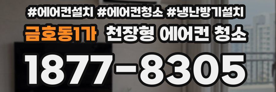 금호동1가 천장형 에어컨 청소