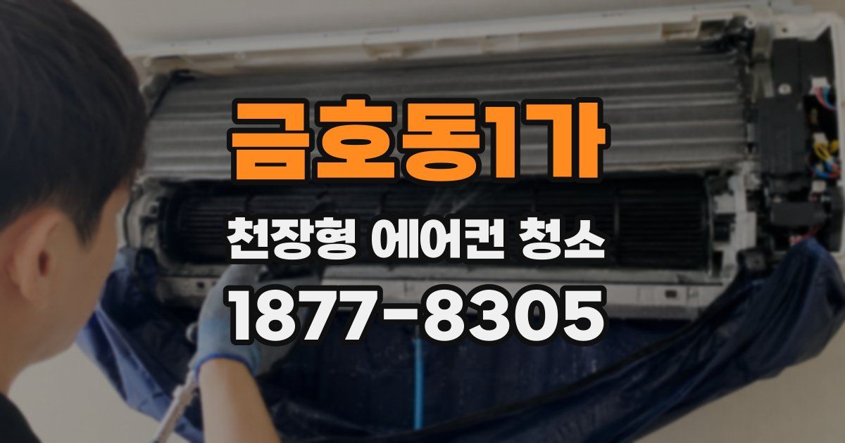 금호동1가 천장형 에어컨 청소