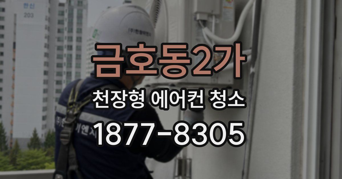 금호동2가 천장형 에어컨 청소