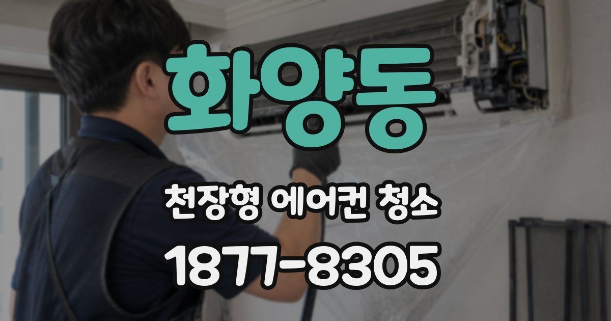 화양동 천장형 에어컨 청소
