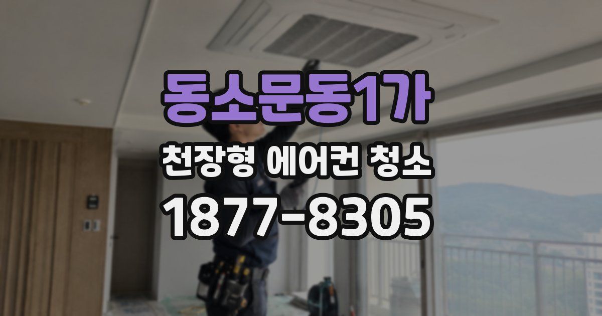 동소문동1가 천장형 에어컨 청소