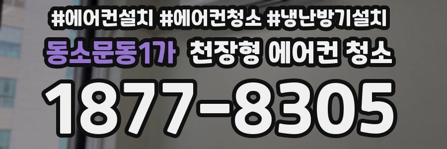 동소문동1가 천장형 에어컨 청소