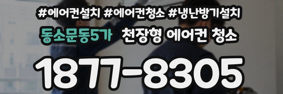 동소문동5가 천장형 에어컨 청소
