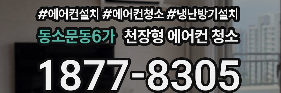 동소문동6가 천장형 에어컨 청소