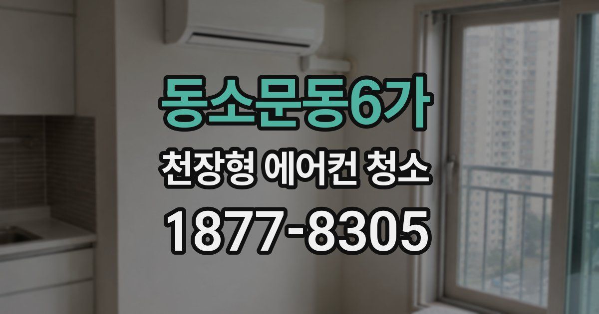 동소문동6가 천장형 에어컨 청소