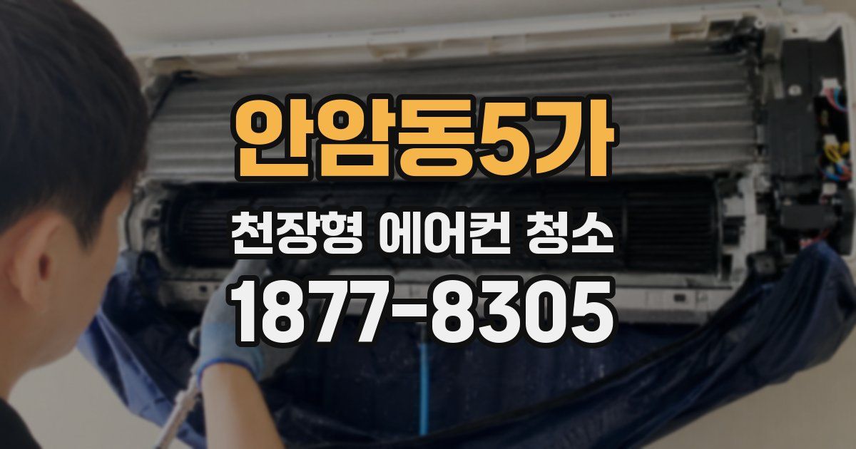 안암동5가 천장형 에어컨 청소