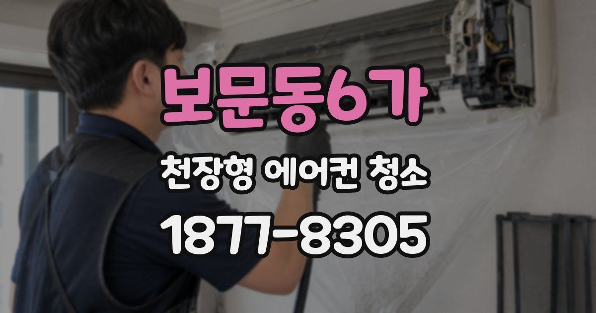 보문동6가 천장형 에어컨 청소