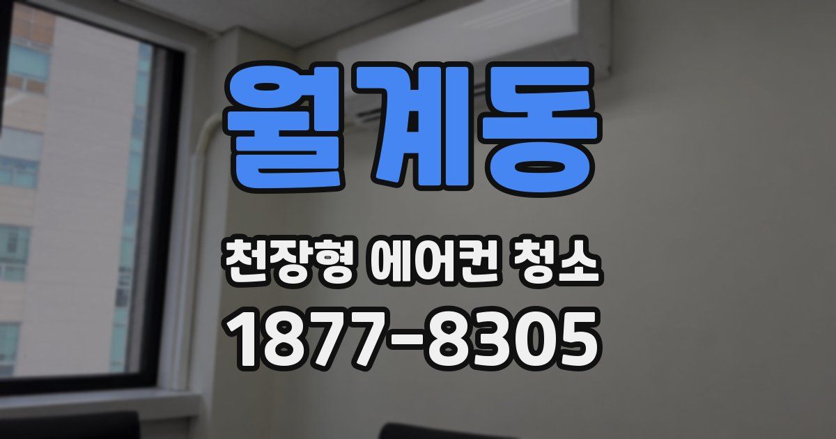 월계동 천장형 에어컨 청소