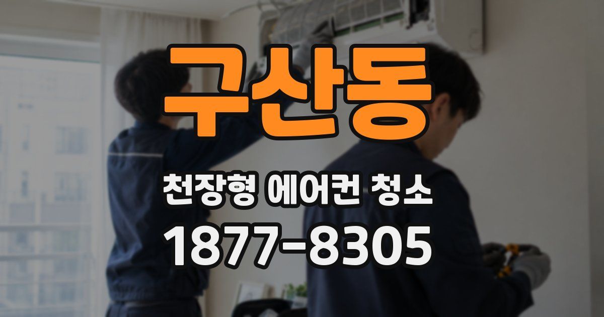 구산동 천장형 에어컨 청소