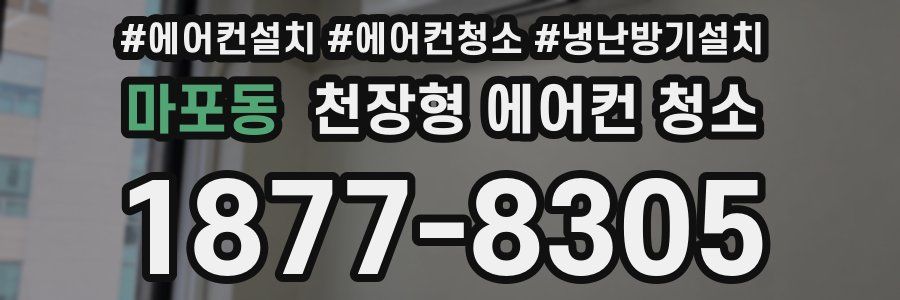 마포동 천장형 에어컨 청소
