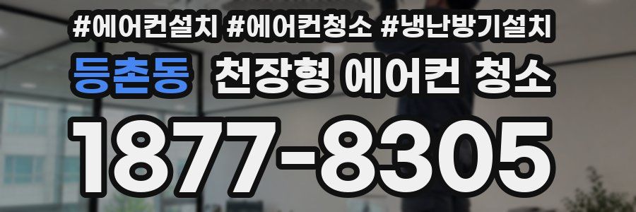 등촌동 천장형 에어컨 청소