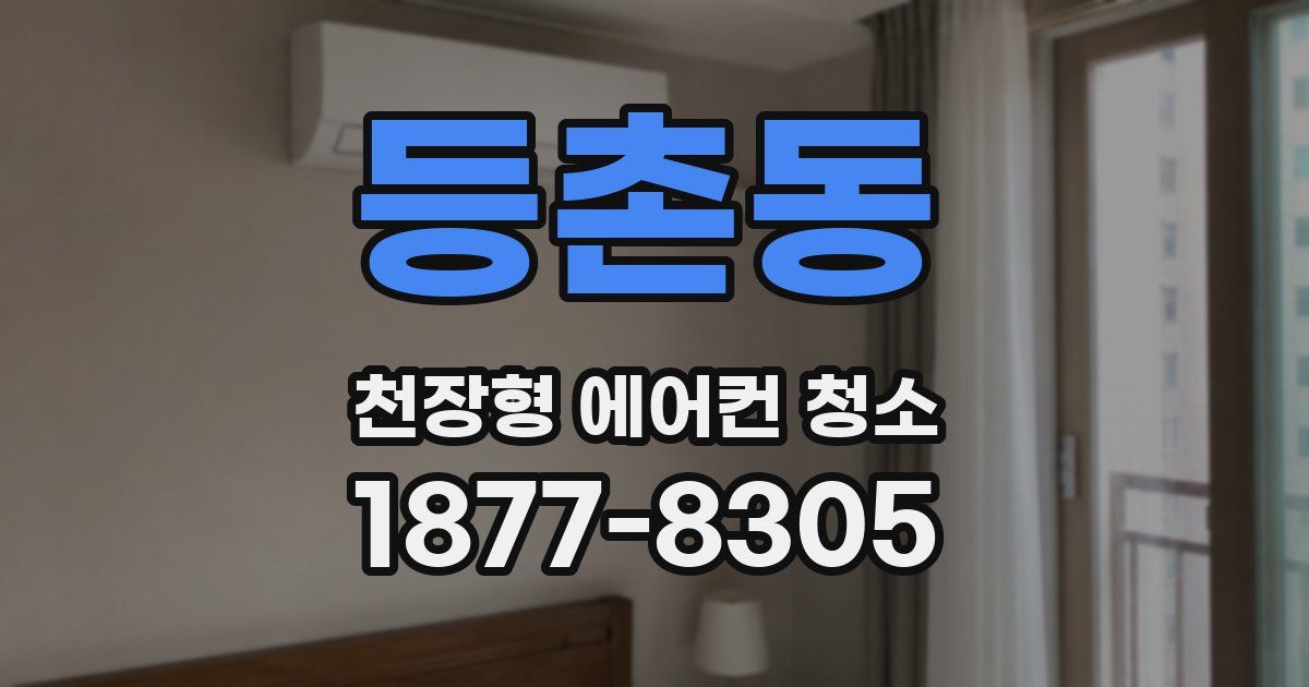 등촌동 천장형 에어컨 청소